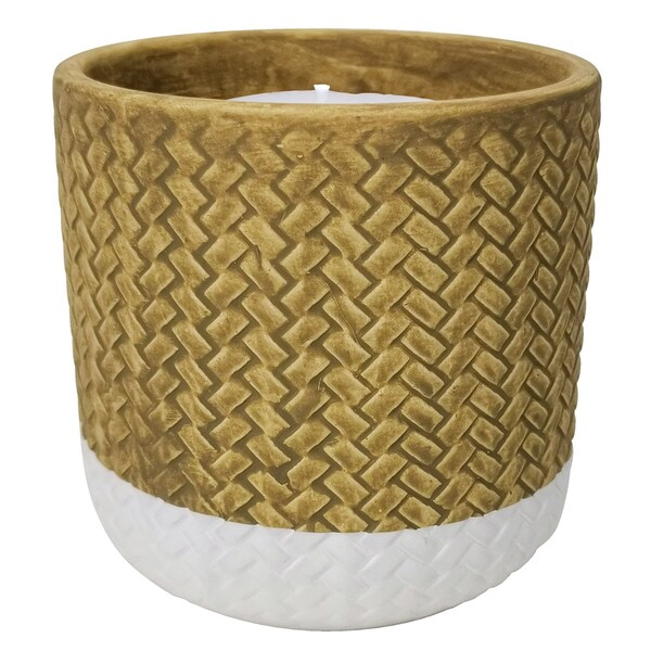 Assorted Ceramic 4 In. H Reed Citronella Candle